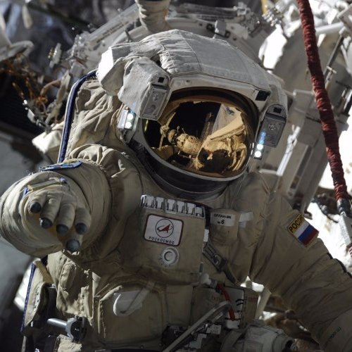 delikozmonot's profile picture. 