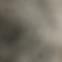 .. (@efe77434626) 's Twitter Profile