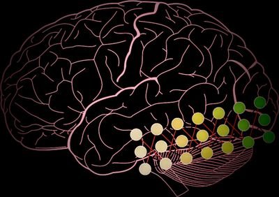 Sharing research news and articles related to the rapid rising overlap on deep learning and neuroscience.