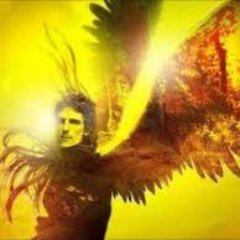 Profile Picture of Chau Falcón,  Gracias Simón (@SolanaEvaJ) on Twitter