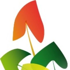 Flowers and plants delivery service in Barcelona (Spain), and metropolitan area: Badalona, Hospitalet, Cornella, Esplugues, Sant Feliu, Sant Cugat del Valles.
