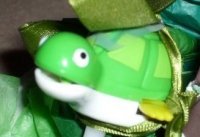 turtturtle's profile picture. I fear canals but I don't know why