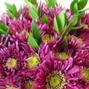 Penny Bernard - @imsideways - Twitter