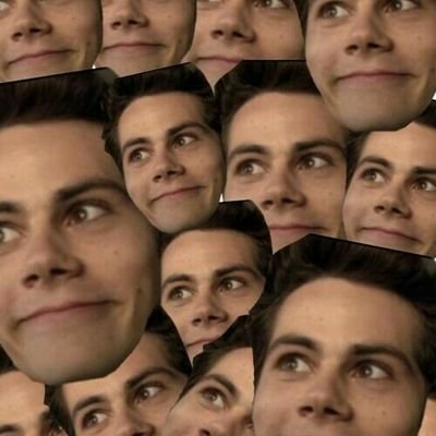 DylanobrienCrac's profile picture. Caguei, xolinha, preta.