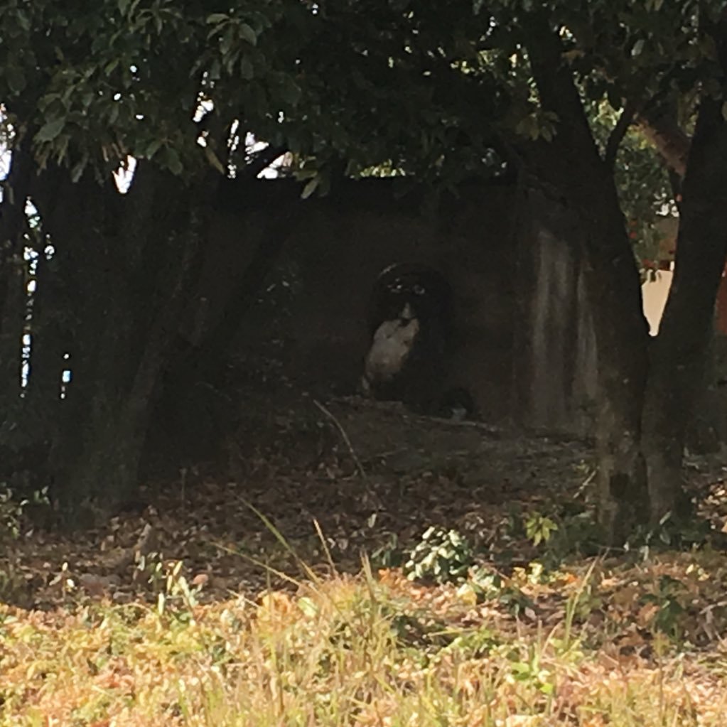 5k1sWRtYf0NFJsB's profile picture. 