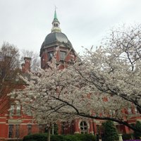 Johns Hopkins Orthopaedics(@HopkinsOrtho) 's Twitter Profile Photo