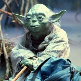 Yoda 24/7 365 days a year- Jedi Master, Wookie friendly, Lightsaber wielding, and Straight Outta Dagobah