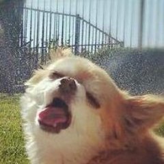 monooon7's profile picture. Xenea推し🚀