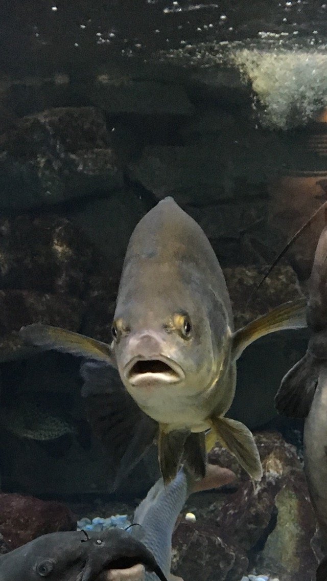 CrazyLazyyy's profile picture. Just being crazy and lazy