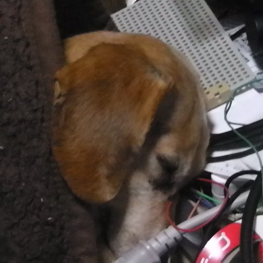 quercus491's profile picture. 合同会社ひまわりプログラミング
https://t.co/HnEMOR7ZMm