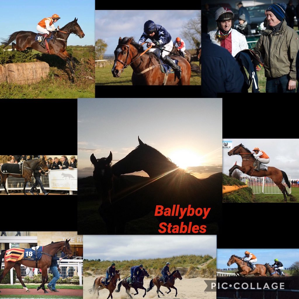 BallyboyStables Profile Picture