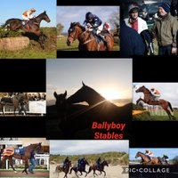Ballyboy Stables (@ballyboystables) 's Twitter Profile