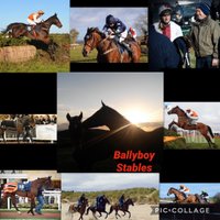 Ballyboy Stables(@BallyboyStables) 's Twitter Profileg