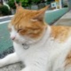 sheepland's profile picture. SRE&PlatformEngineer
#Kubernetes #Go