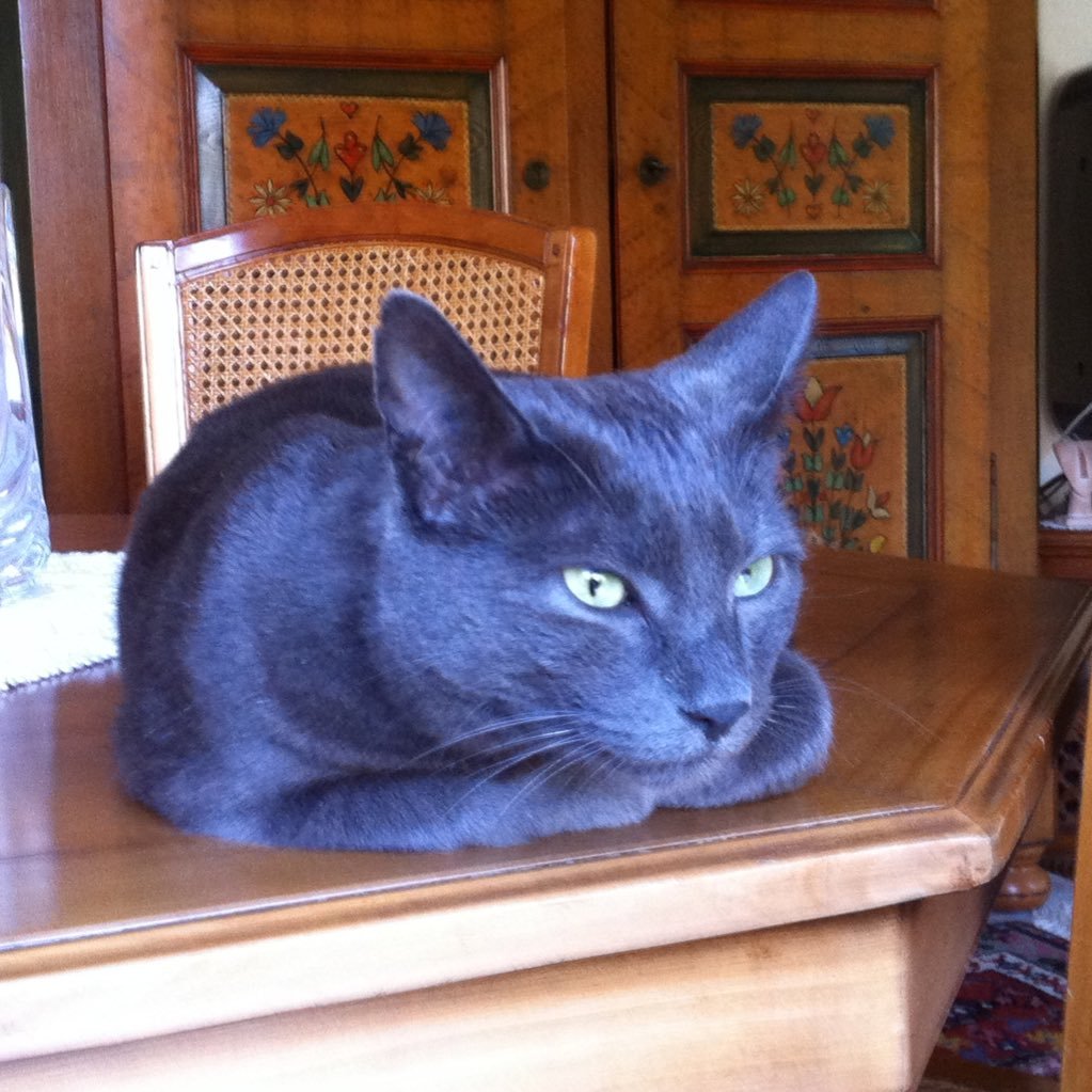 Sachablabla's profile picture. 