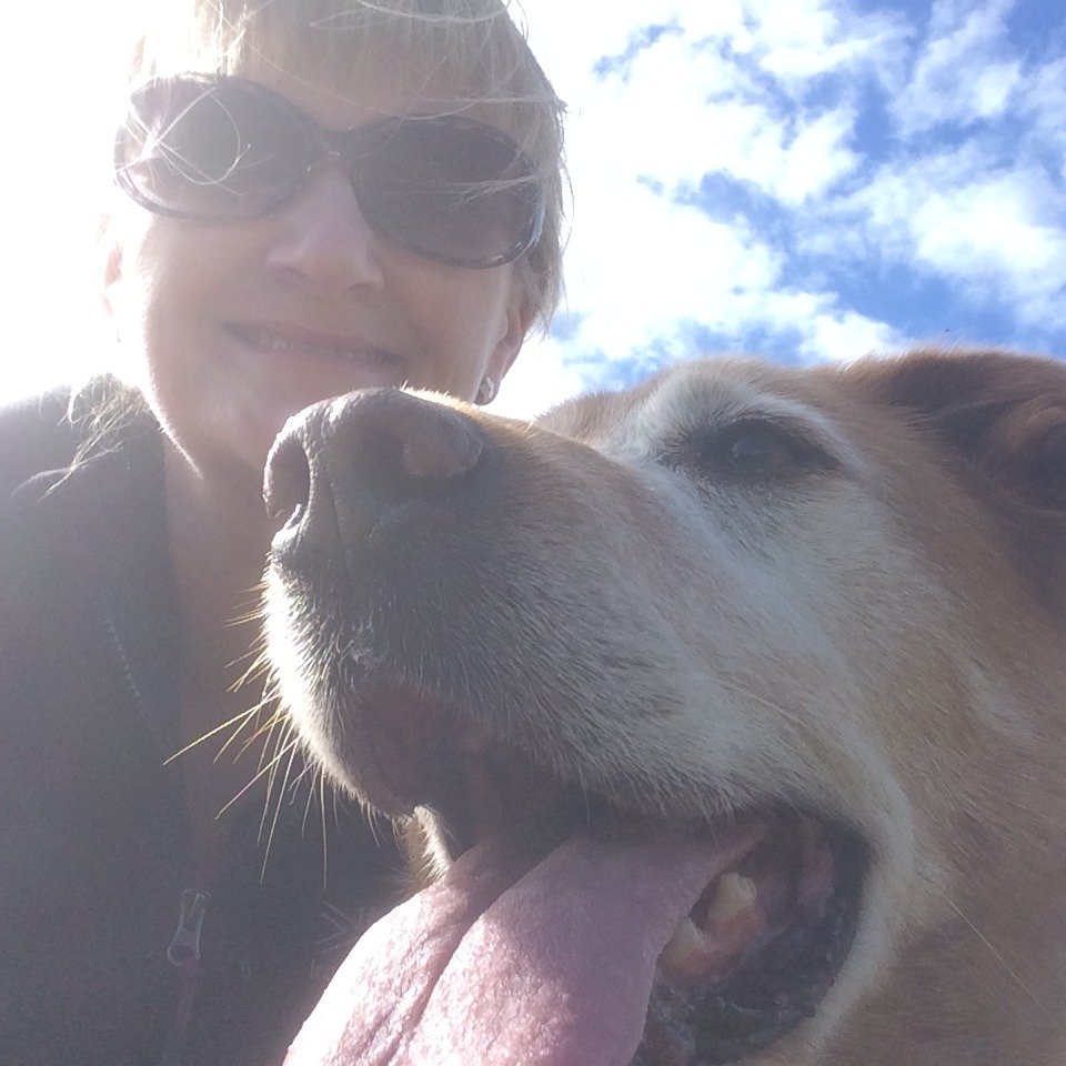 StineInWales's profile picture. Herts woman now happily relocated to Gwynedd.  Da iawn!