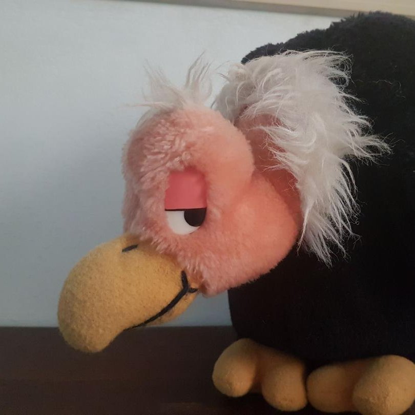 Tukebay1's profile picture. Talks the talk. Walks the walk, Pulls no punches. If you don't like, tell someone who gives a damn.