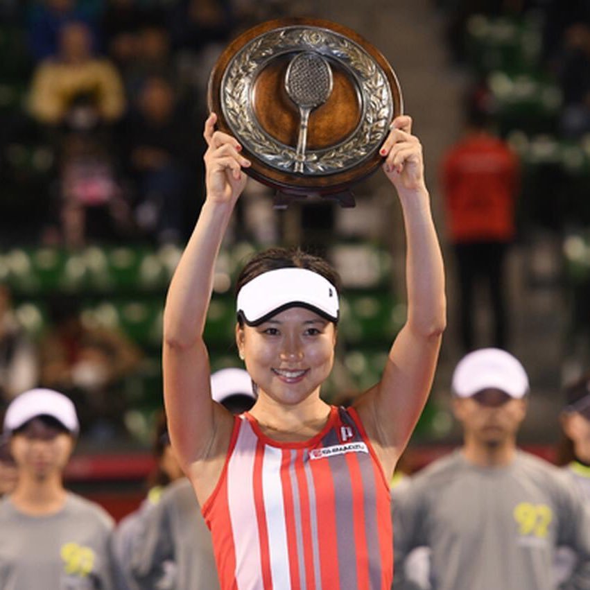 Professional tennis player ＊全日本テニス選手権 優勝(シングルス2017,ダブルス2016,2022,ミックスダブルス2013)四冠 ＊グランドスラム(全豪,全仏,全英,全米)予選出場 ＊EMシステムズ ＊prince契約