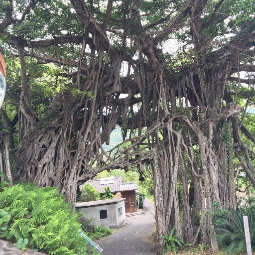 soi2flatline's profile picture. C#エンジニア