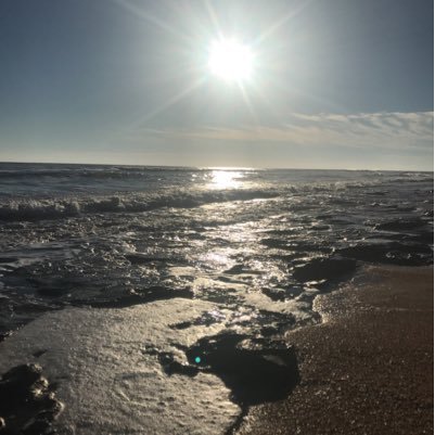 BCBshakenasty's profile picture. 