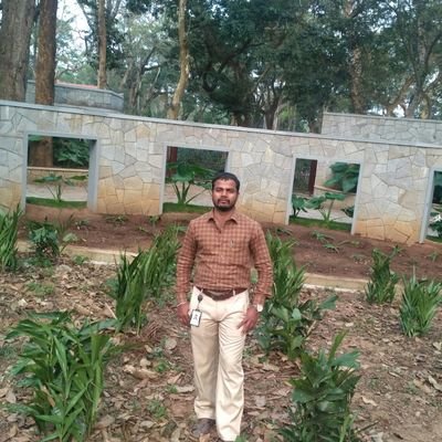 SABARIN90550232's profile picture. 