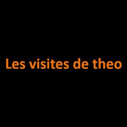 les visites de Theo