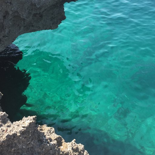 MaurizioDfl's profile picture. 😀