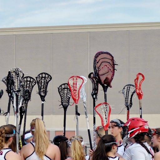 USCHSGLax Profile Picture