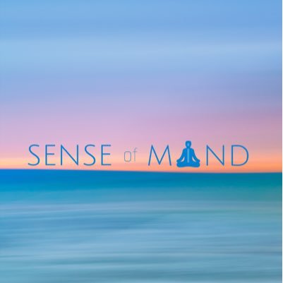 Corporate crisis management professional & wellness advisor integrating Meditation, Mindfulness & Sensory Wellness to manage stress & trauma response.