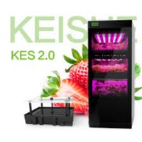 Home Vertical Farm (@mykeisue) 's Twitter Profile