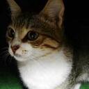 Emily Rigling - @ZeroFeelings1 - Twitter