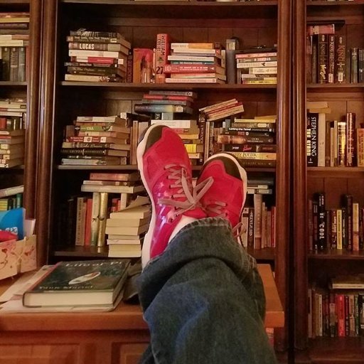 Author of the humor series featuring The Last Stop Retirment Home. https://t.co/bKWiynUUt4 Currently getting rid of furniture to make room for more books.