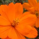 gail small - @gailsmall - Twitter