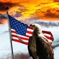 🇺🇸‼️VIETNAM VET...PATRIOT FOREVER‼️🇺🇸(@DADDIOnBAILEY) 's Twitter Profile Photo