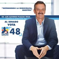 Plazas Vega al Senado: CD 48(@PlazasVegaSen48) 's Twitter Profileg