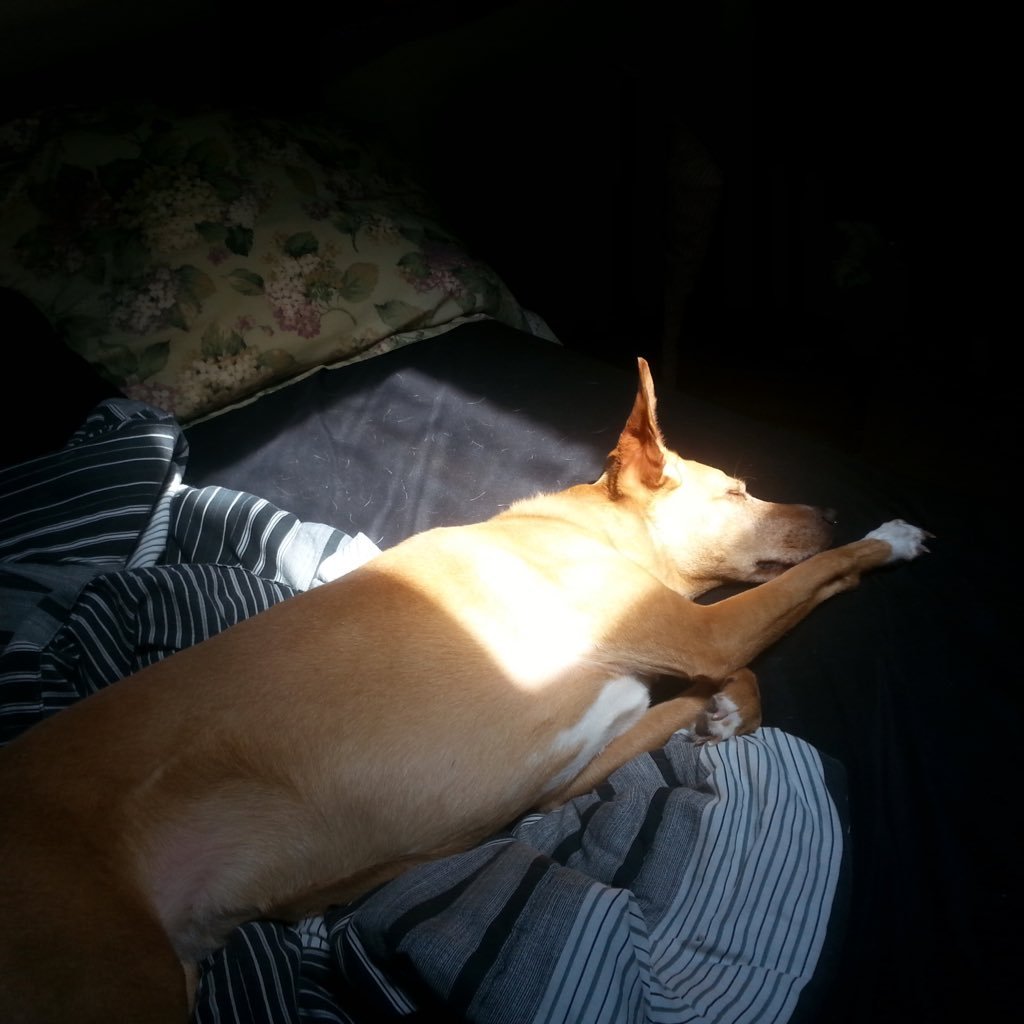 supahdomination's profile picture. 