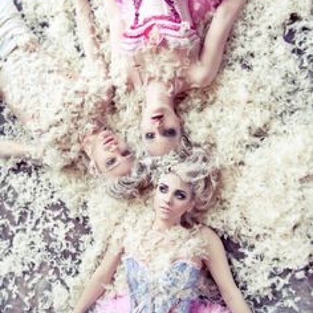 Feathermyenemy's profile picture. Send a Special Gift Anonymously to the One You Hate! ........ Instagram / FB  @FeatherMyEnemy Opens 2021!