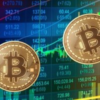 Wall Street Crypto (@thewallstcrypto) 's Twitter Profile