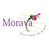 Moraya Global(@morayaglobal) 's Twitter Profile Photo