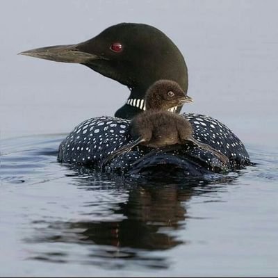 Betuluyar7's profile picture. Sanatsepetisleri