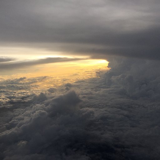 milan_mandani's profile picture. 