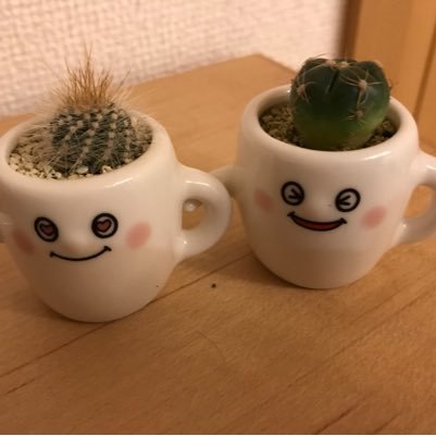 地方在住。同じ年・同じ職場のオット、2歳ムスメと暮らすワーママ。そこそこフルタイム。ムスメに楽しく働く母の背中を見せる!べく、あがく日々。 #MYコンパスラボ 参加中。図解、ワークショップ、キャリア、パートナーシップに興味あり。活字中毒、収集癖。食べること/本屋さん/まち歩き/カフェ/さんぽ/毛布