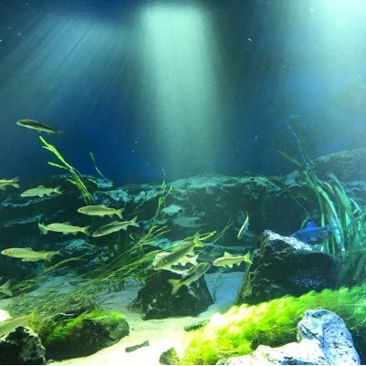 miyuki_13562_'s profile picture. 東京🗼／25↑／桐山漣✨／King Gnu 👑🐃 ※投稿は桐山漣さん中心です