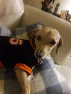SirKnightPage's profile picture.