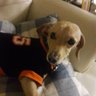 SirKnightPage's profile picture.