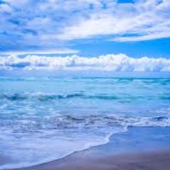 jsilva11749's profile picture. 