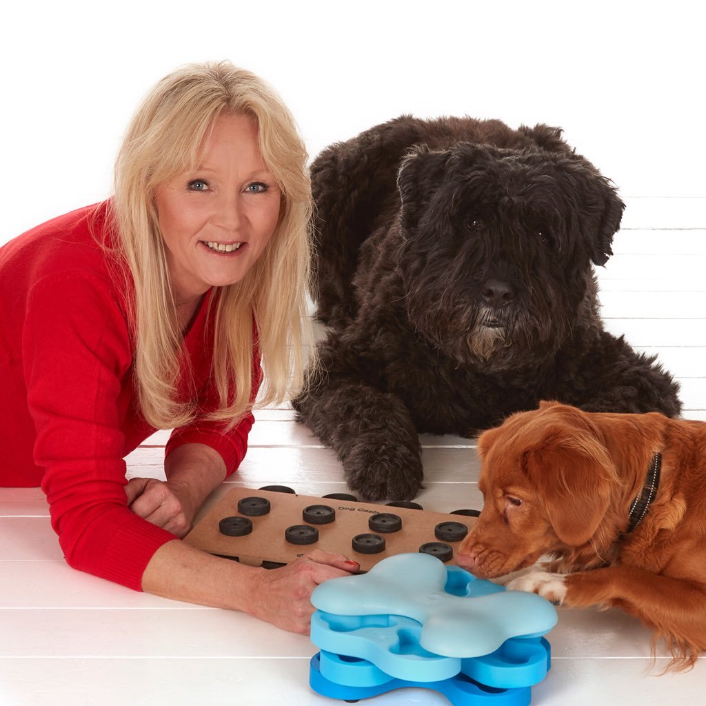 Nina Ottosson interactive dog & cat treat puzzle games & toys