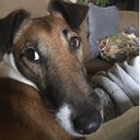 debbie lamb - @debbiel98704956 - Twitter