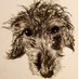 Dexters Kitchen Ltd (@dextersltd) Twitter profile photo Dexters Kitchen Ltd (@dextersltd) Twitter profile photo