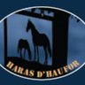 HarasHaufor's profile picture. Suivez l'actualité de nos 6 étalons classiques ! #Etalon #Trot #Trotteur